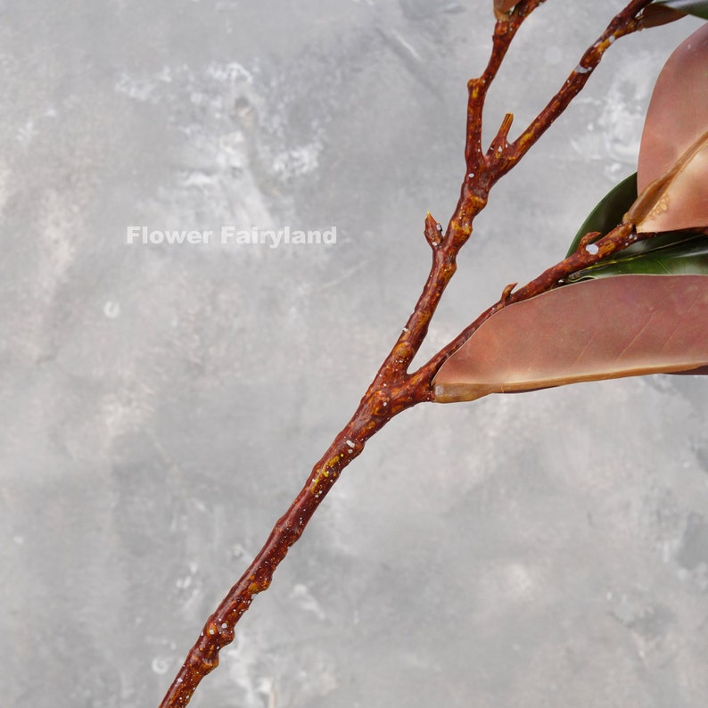 May include: A close-up of a brown twig with a single large, brown leaf. The twig is covered in small, white dots. The leaf is partially visible and has a green underside.