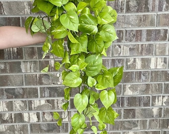 34" Faux Hanging Golden Pothos - Artificial Plant