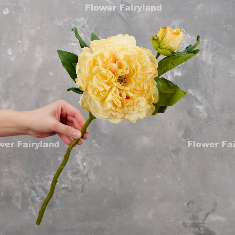 Dried Look Huge Peony with Bud Stem High Quality Artificial Flower Centerpieces DIY Floral Wedding/Home Decoration Gifts Yellow image 2