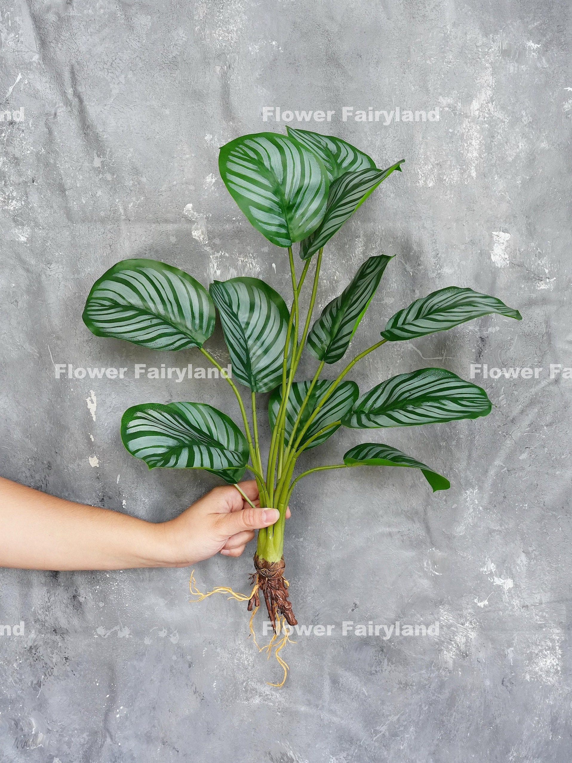 Faux Calathea Orbifolia Turtle Leaf With Roots - Artificial Plant - Etsy  Denmark