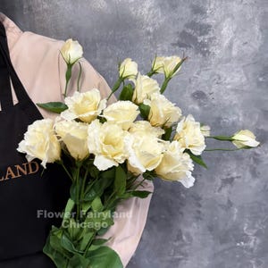 May include: A bouquet of cream-colored eustoma flowers with ruffled petals and green stems. The text Flower Fairyland Chicago is visible on the black apron worn by the individual holding the flowers, which are set against a gray background.