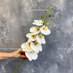 May include: A single stem of white artificial orchids with yellow centers. The stem is green and has several buds.