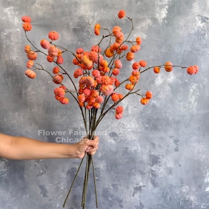 Puede incluir: Un arreglo de ramas decorativas con numerosos adornos pequeños, redondos y de color naranja en forma de calabaza, unidos a tallos delgados de color marrón oscuro. El texto Flower Fairyland Chicago es visible en la parte inferior izquierda.