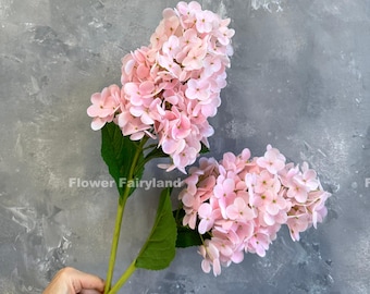 May include: Two stems of pink hydrangea flowers with green leaves. The flowers are arranged in a bouquet and are held in a hand.
