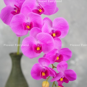 38&quot; Real Touch 9 Heads Orchid Stem - Artificial Flower - Fuchsia