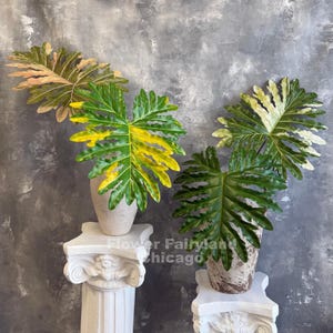 Puede incluir: Cuatro hojas decorativas grandes en jarrones, exhibidas sobre pedestales blancos contra un fondo gris. Las hojas son verdes, amarillas y bronceadas. Los jarrones son beige y marrones. Los pedestales tienen un diseño de columna clásica.