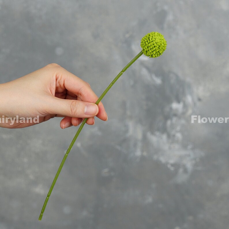 9 Stems Faux Billy Buttons Artificial Flower DIY Floral Etsy