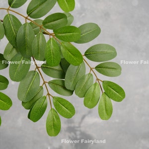 Faux Senna Siamea Tree Stem - Artificial Plant - Green