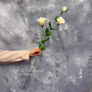 May include: A single artificial stem featuring two open cream-colored eustoma flowers and one closed bud, accompanied by green leaves on a long thin stalk. The text Flower Fairyland Chicago is visible in the lower left corner.