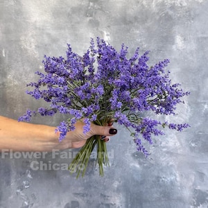 Op de afbeelding: Een boeket paarse lavendelbloemen, vastgehouden in een hand, tegen een grijze achtergrond. De bloemen staan in volle bloei, met lange stelen en een levendige kleur. De tekst "Flower Fairy Land Chicago" is zichtbaar.