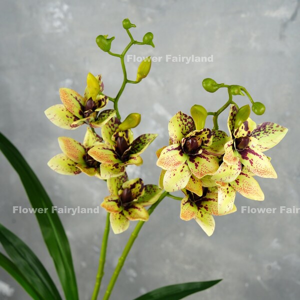 Faux Cymbidium Hybrid Orchid | High Quality Artificial Flower | DIY | Floral | Wedding/Home Decoration | Gifts - Green