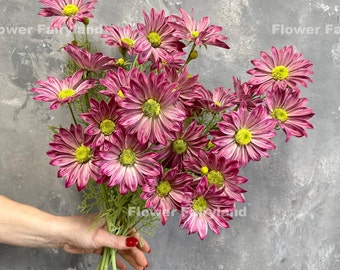 4 Heads Daisy Stem | Artificial Flower | Wedding/Home Decoration | Gifts - Plum