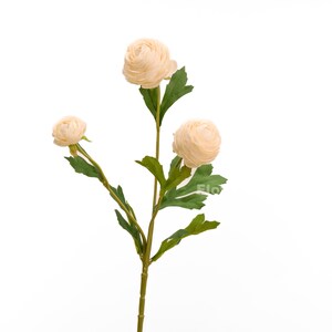 Peut inclure: Un bouquet de trois fleurs artificielles de renoncule de couleur cr&egrave;me avec des feuilles vertes.