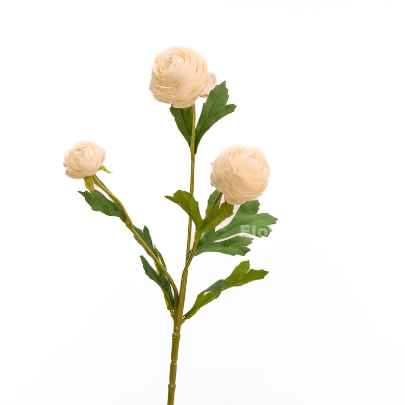 Peut inclure: Un bouquet de trois fleurs artificielles de renoncule de couleur cr&egrave;me avec des feuilles vertes.