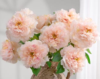 5 Huge Heads Peony Bouquet - Light Pink