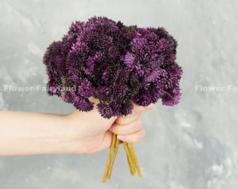 Real Touch Faux Sedum Cluster Stem | Artificial Plant | Wedding/Home Decoration | DIY Project Supplies | Gifts - Dark Purple