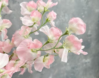 May include: Close-up of a cluster of pink and white sweet pea flowers. The delicate petals have a soft, layered appearance, with a gradient of color. The stems are green, and the background is a muted gray. Text on the image reads "Flower Fairyland Chicago".