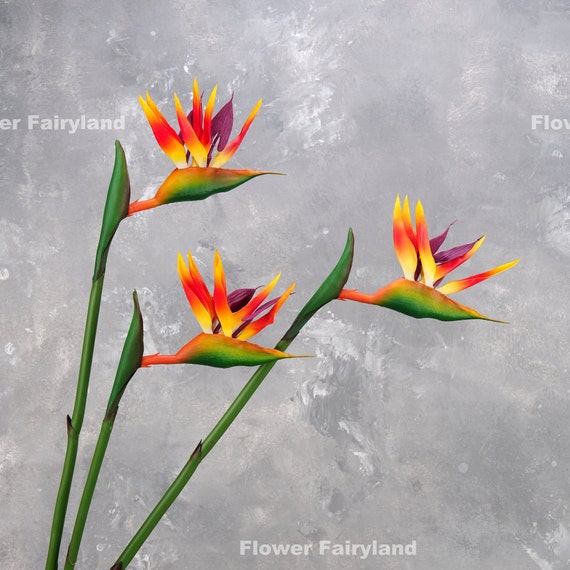 knstliches edelweiss Short Single Silk Edelweiss Flower Stem with 1 flower  German Specialty  Imports llc