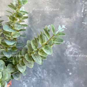 Eucalipto falso | Planta artificial de alta qualidade | Faça você mesmo | Centros de mesa | Vegetação | Decoração de casamento/casa | Presentes - Dusty Green