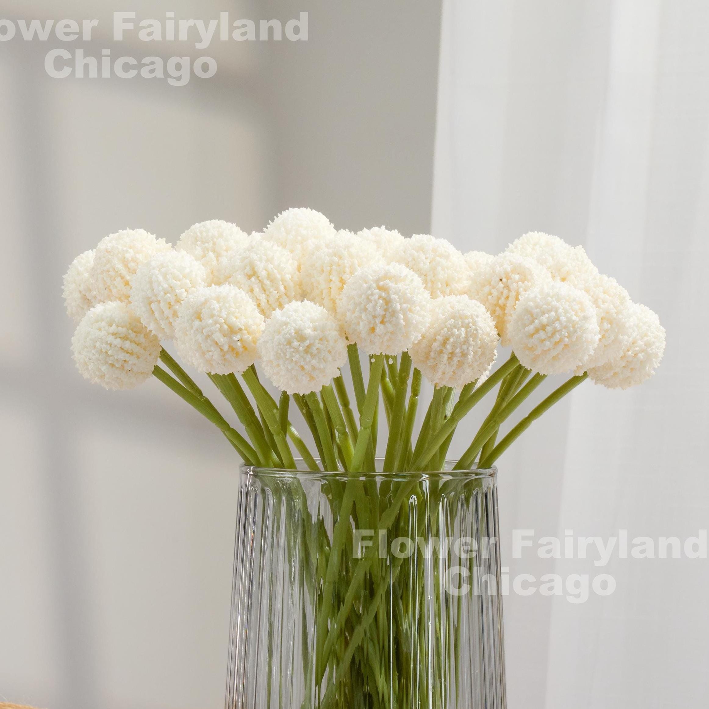 Patrycja Sobolak and Kamil Fidziukiewicz's Wedding Website, image size:2325x2325