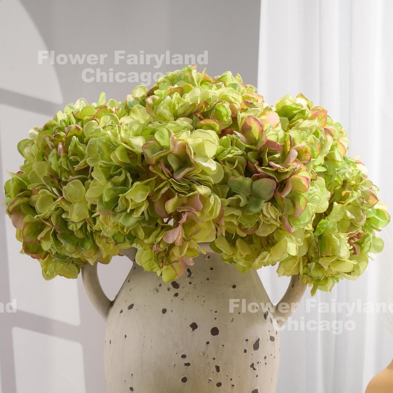 Puede incluir: Un ramo de hortensias verdes y rosas en un jarr&oacute;n moteado de color crema. Las flores son llenas y exuberantes, con una mezcla de tonos verdes y rosas. El jarr&oacute;n tiene dos asas y una superficie texturizada. El texto "Flower Fairyland Chicago" es visible.