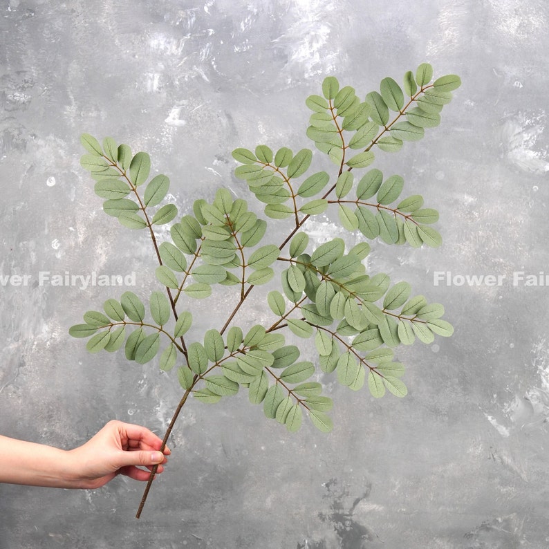 Realistic Senna Siamea Tree Branch High Quality Artificial Plant DIY Greenery Wedding/Home Decorations Gifts Dusty Green image 7