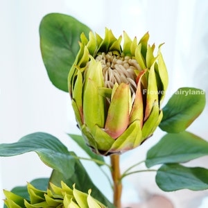 Large Head Faux King Protea - Artificial Flower - Green