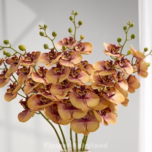 Real Touch Orchid Stem - Artificial Flower - Brownish Yellow