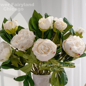 Dried Look Peony with Bud - Artificial Flower - White