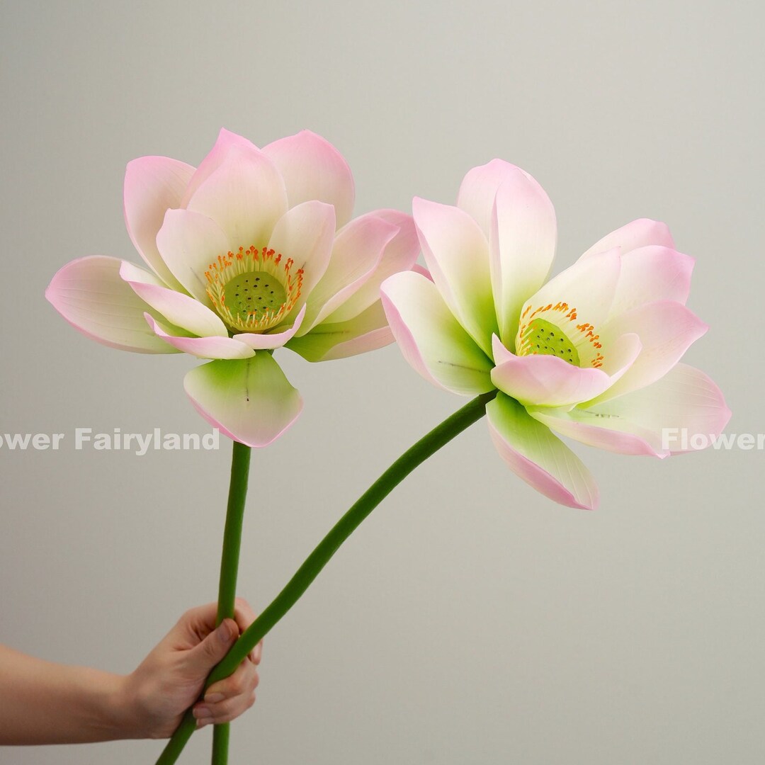 Adjustable Lotus Flower Stem Artificial Flower DIY Floral Etsy