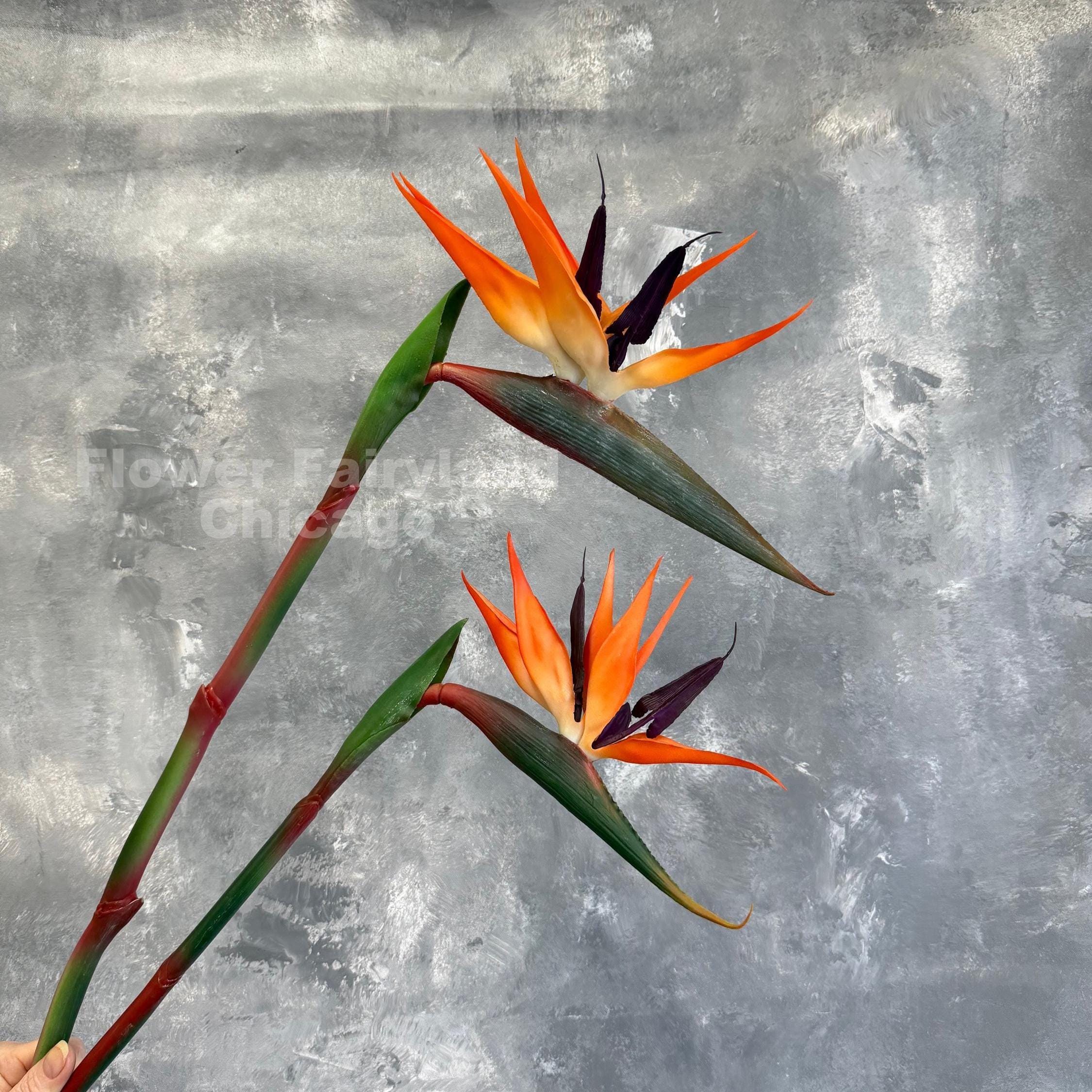 未開封　episteme STEM SCIENCE バラ売り一本 Real Touch Bird of Paradise Flower Stem - Artificial Plant