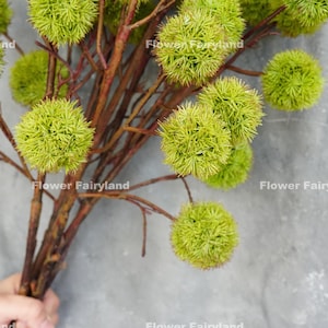 32" Faux Chestnut Branch | 6 Chestnut Balls | High Quality Artificial Plant | Floral | Centerpieces | Modern Home Decoration | Gifts