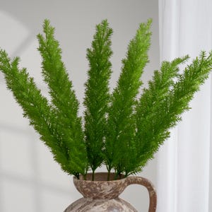 Foxtail plant - Etsy 日本