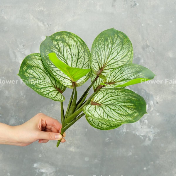 Faux Calathea Plant | Artificial Plant | Wall/Pot/Home Decoration | DIY Greenery | Floral | Craft Project Supplies | Gifts