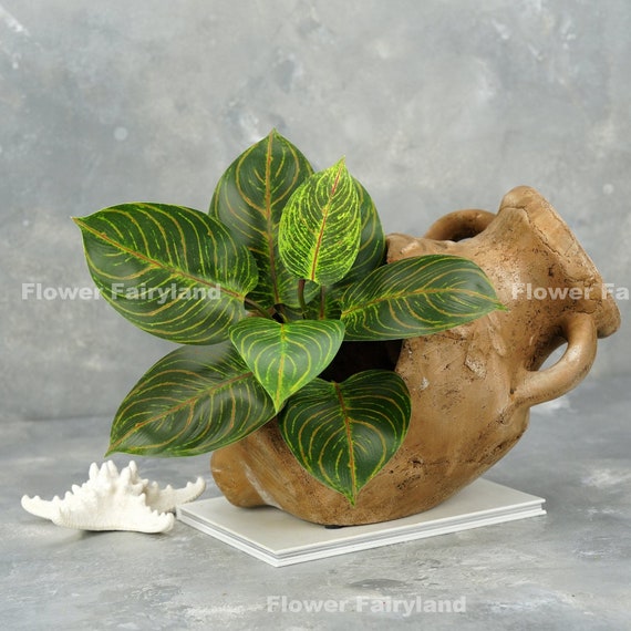 Faux Philodendron Plant - Artificial Greenery - Etsy
