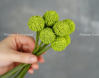9 Stems Faux Billy Buttons | Artificial Flower | DIY Floral | Wedding/Occasion/Home Decoration | Gifts - Green