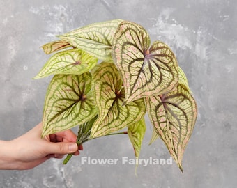 Faux Angel Wings Plant - Artificial Plant