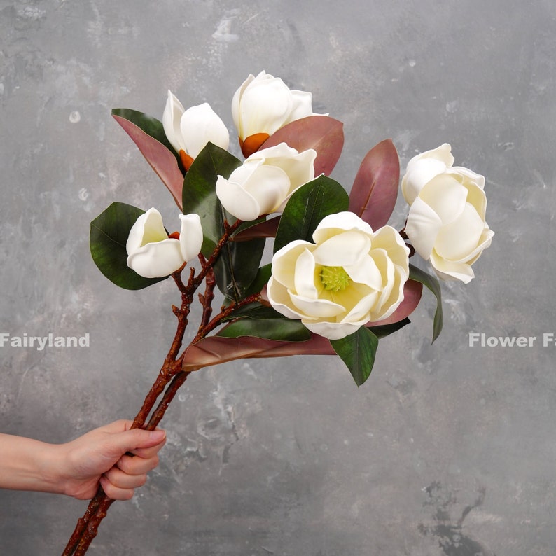 May include: A bouquet of white magnolia flowers with green leaves and brown stems. The flowers are arranged in a cluster, with some of the flowers facing the camera and others facing away.