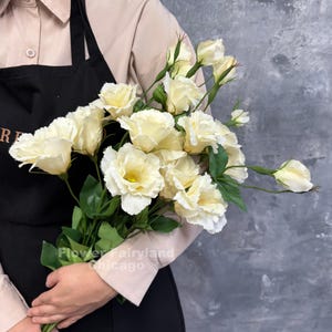 May include: A bouquet of cream-colored lisianthus flowers with ruffled petals and green stems. The flowers are held in front of a black apron and a light-colored shirt. The text Flower Fairyland Chicago is visible on the apron.