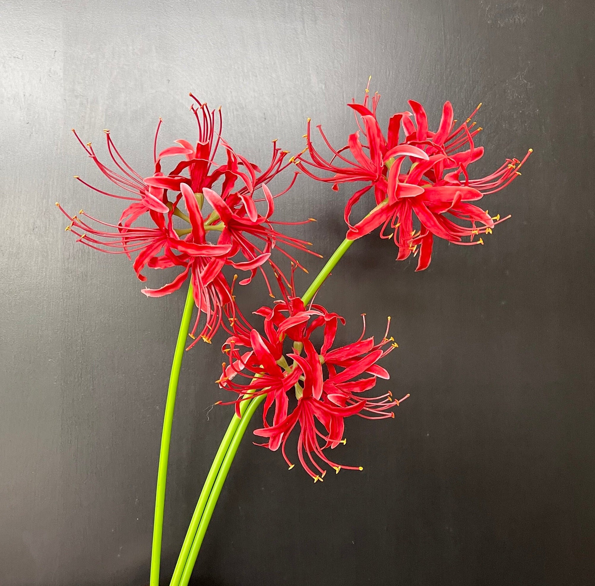 26" Faux Red Spider Lily Stem - Artificial Flower - Red