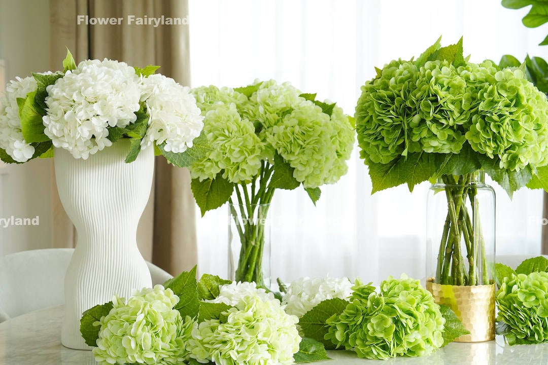 pink arrowhead plant Pink Syngonium 4 pot Pink Arrowhead Live Plant  Dose of Succulents