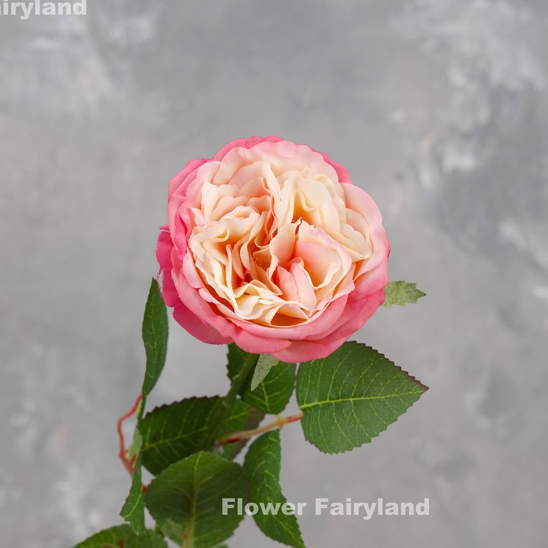 Real Touch English Rose Stem David Austin Rose High Quality Artificial