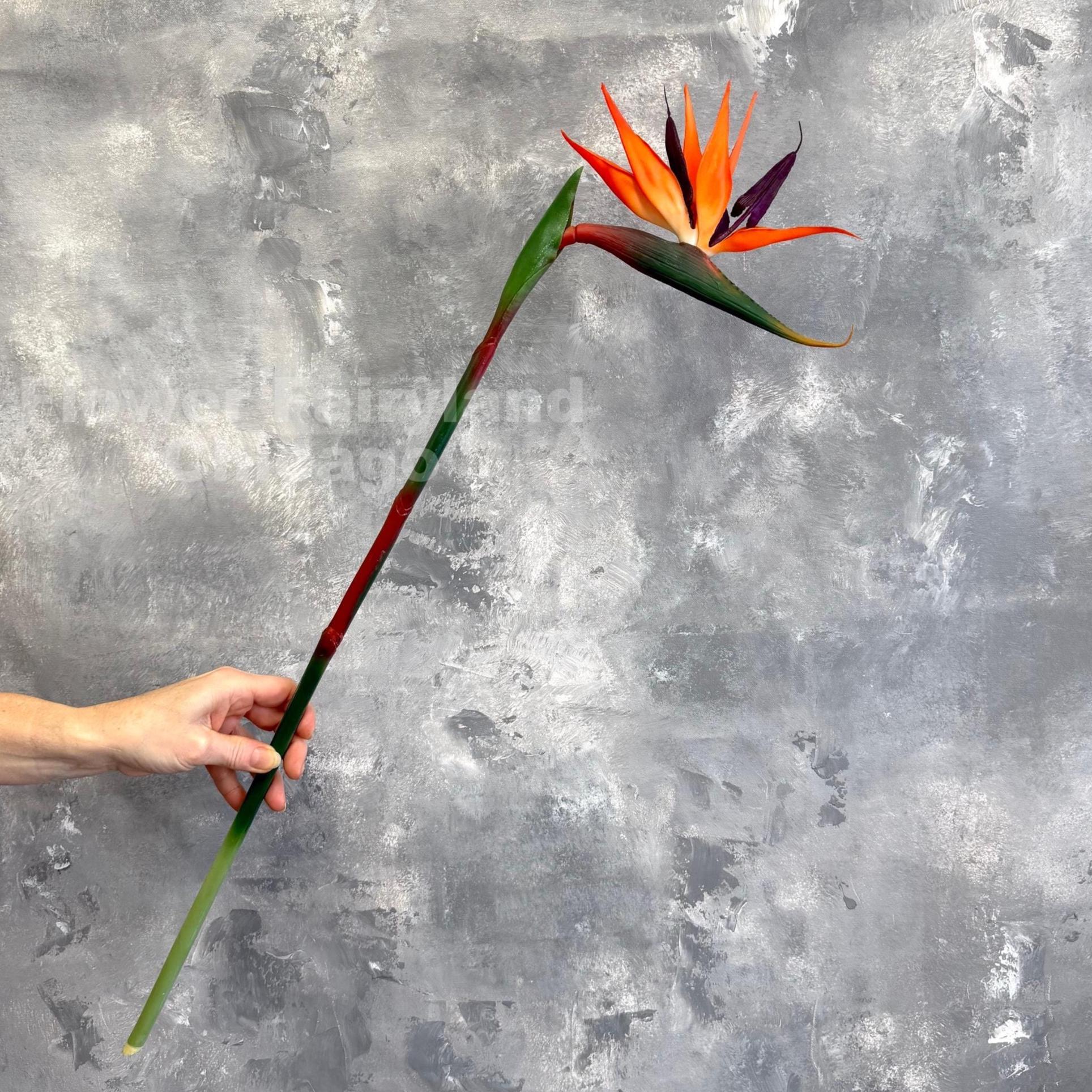 Real Touch Bird of Paradise Flower Stem - Artificial Plant