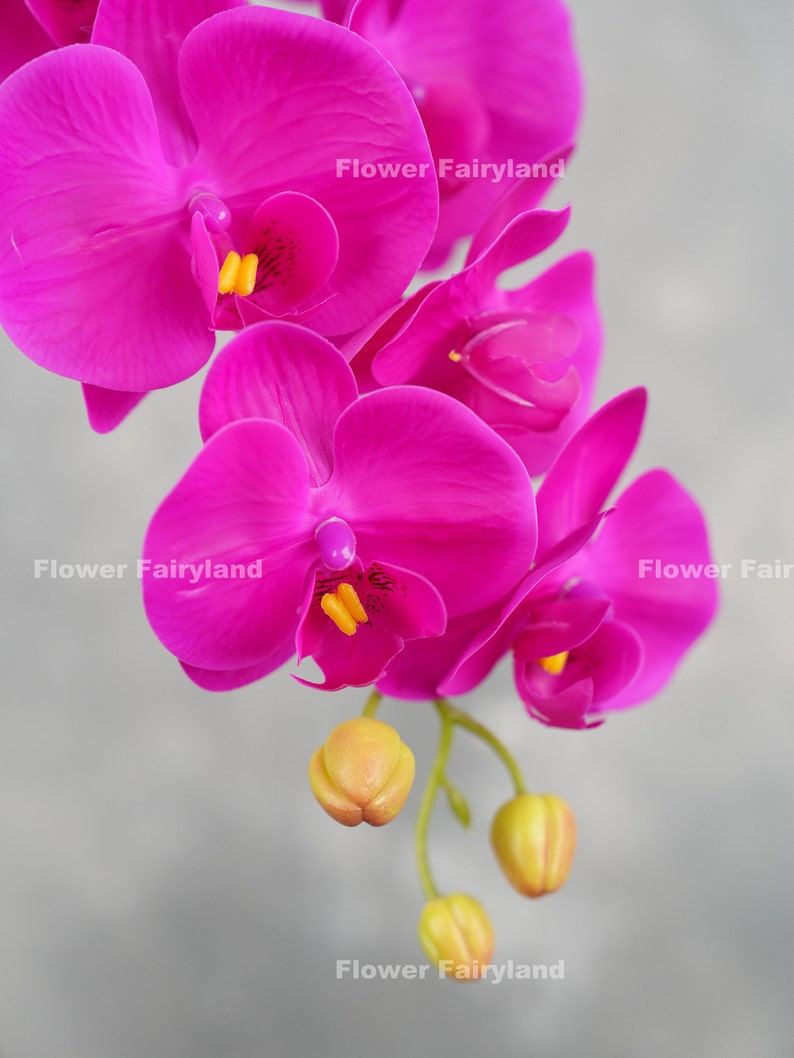 38 Real Touch 9 Heads Orchid Stem High Quality Artificial Flower DIY Floral Centerpiece Wedding/Home Decoration Gifts Magenta image 6