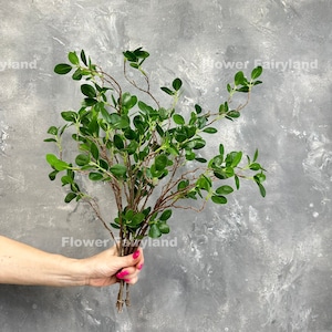 Planta artificial de boj de tacto real, de tallo corto.