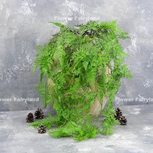 May include: A large green artificial fern plant with long trailing vines, displayed in a brown ceramic pot. The plant is sitting on a gray textured surface with small pine cones scattered around it.