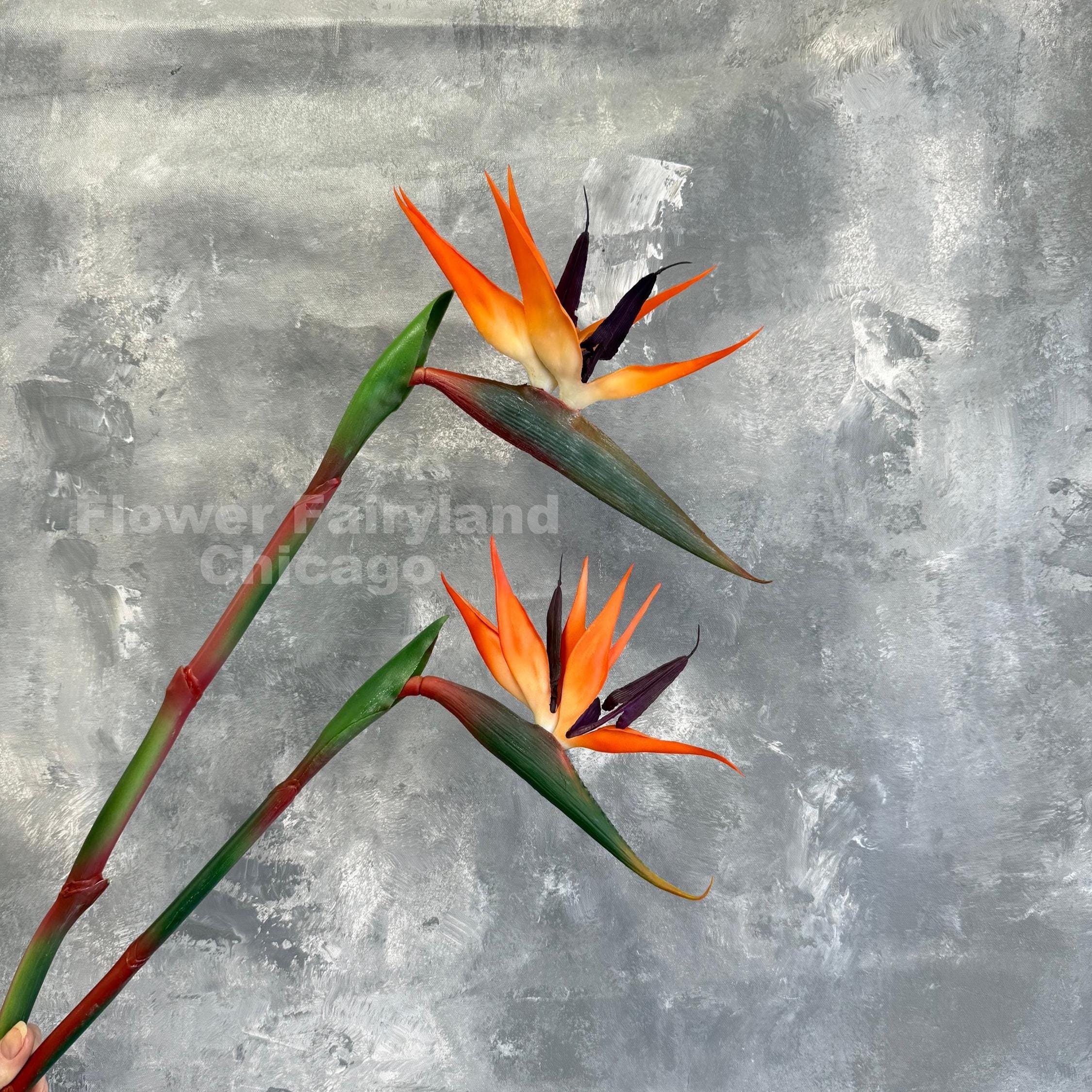 Real Touch Bird of Paradise Flower Stem - Artificial Plant