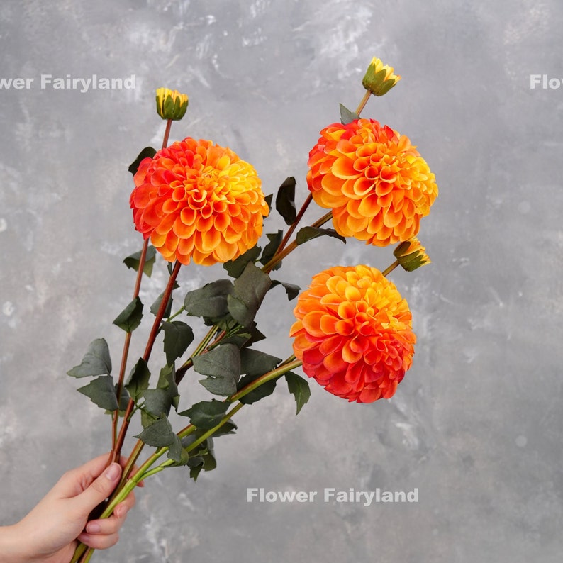 Realistic Palmares Dahlia Stem High Quality Artificial Flower Centerpieces DIY Floral Wedding/Home Decors Gifts Multi-color image 8