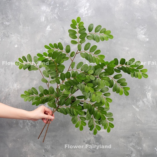 Realistic Senna Siamea Tree Branch | High Quality Artificial Plant | DIY Greenery | Floral | Wedding/Home Decorations | Gifts - Green