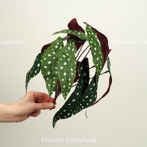 Faux Polka Dot Begonia Plant